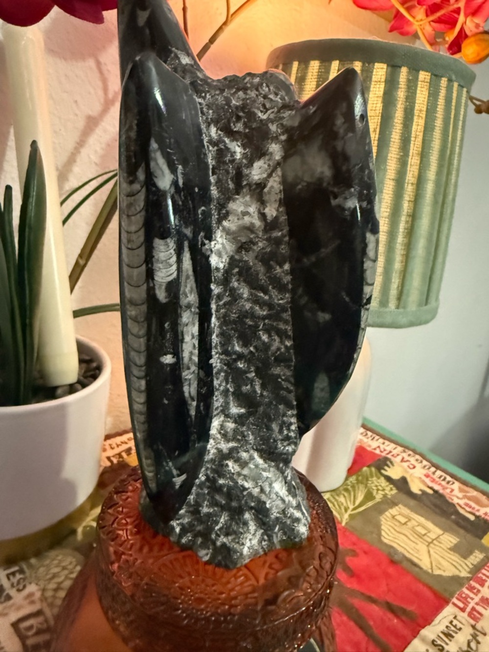 Orthoceras Fossil Black Stone -Polished